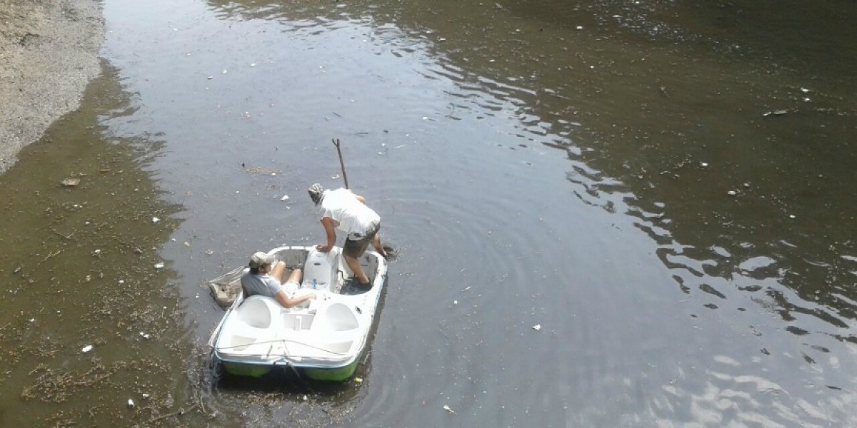 Señala secretario de Desarrollo Sustentable que no hubo afectaciones graves en el lago del Parque Chapultepec