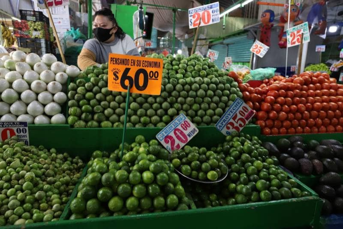Inflación desacelera y se ubica en 7.13% en la primera quincena de enero