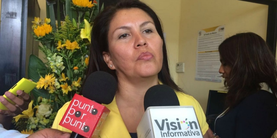 Asegura diputada que en Morelos no hay autodefensas; pidió, a quienes lo afirman, comprobarlo