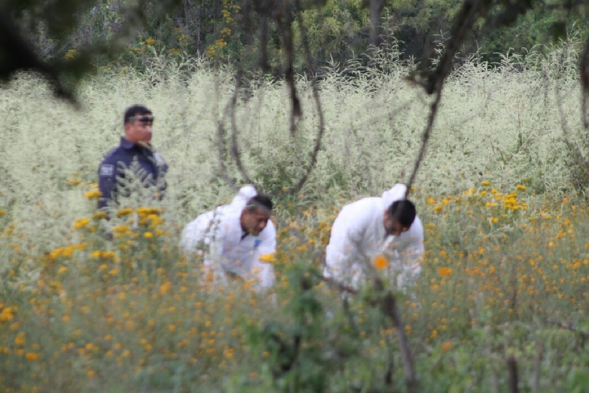 Hallan un cadáver en Tepoztlán