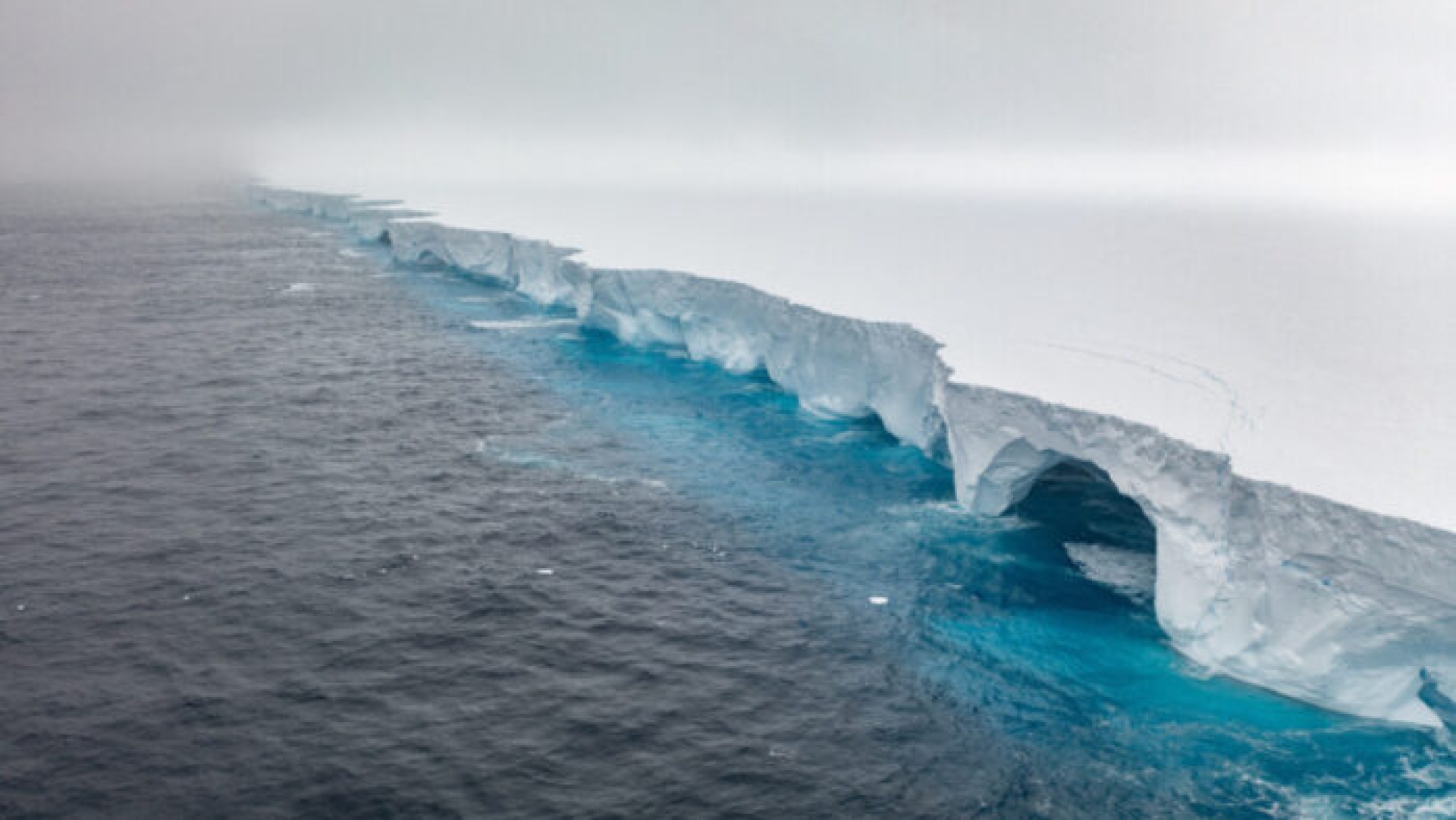 A23a, el iceberg más grande, se detiene cerca de Georgia del Sur