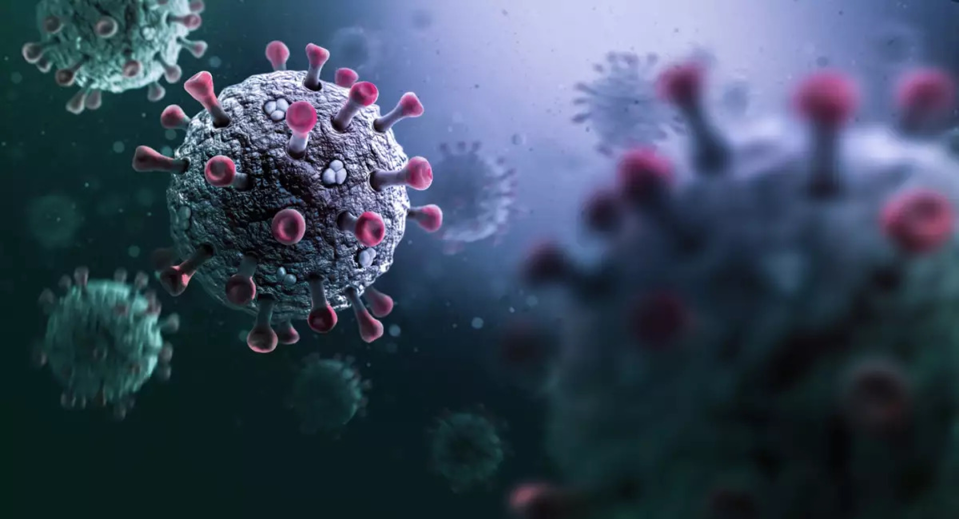 México confirma primer caso de 'súper gripe' A H3N2 subclado K