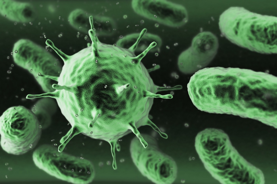 Una mutación bacteriana logra resistir a todos los antibióticos conocidos