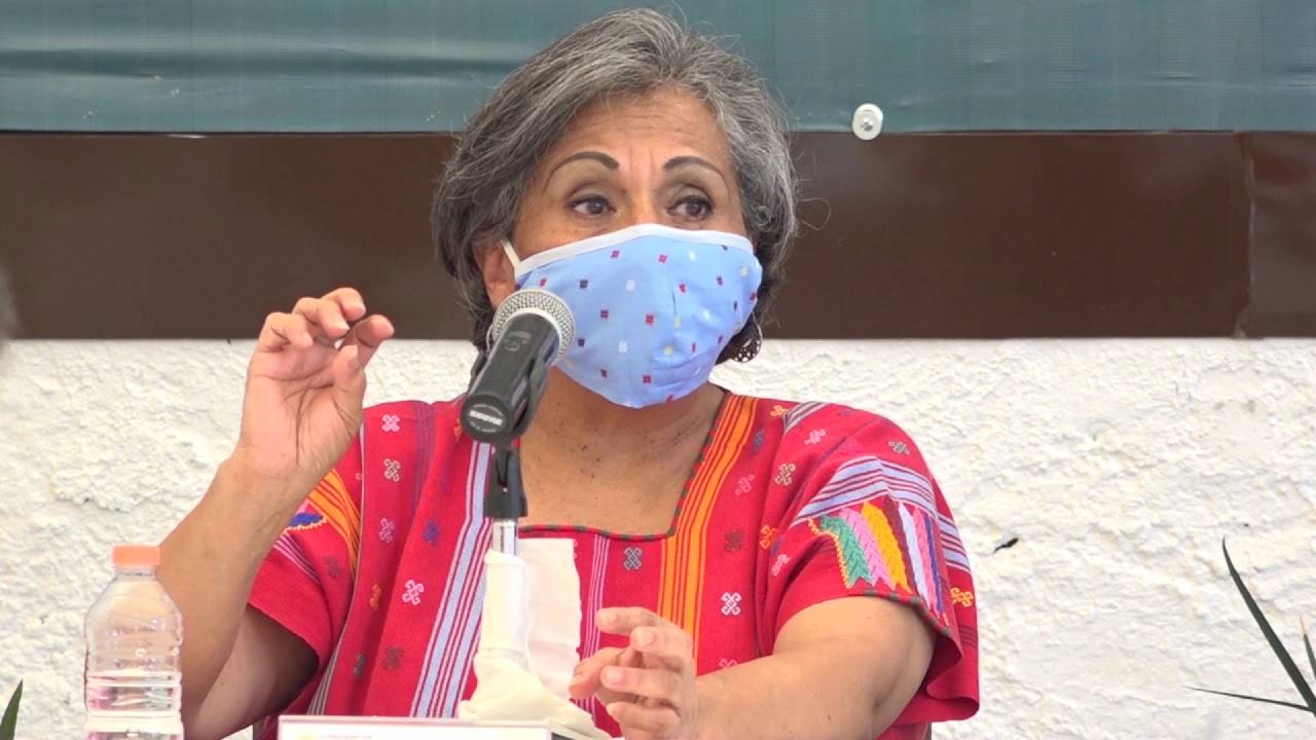 La “enviada” Elsa Veites