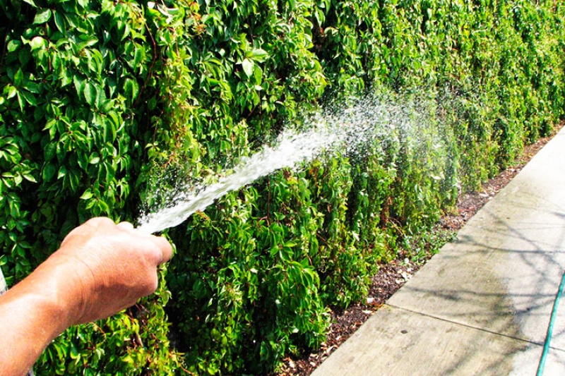 Llama la CEA a pagar por el agua potable