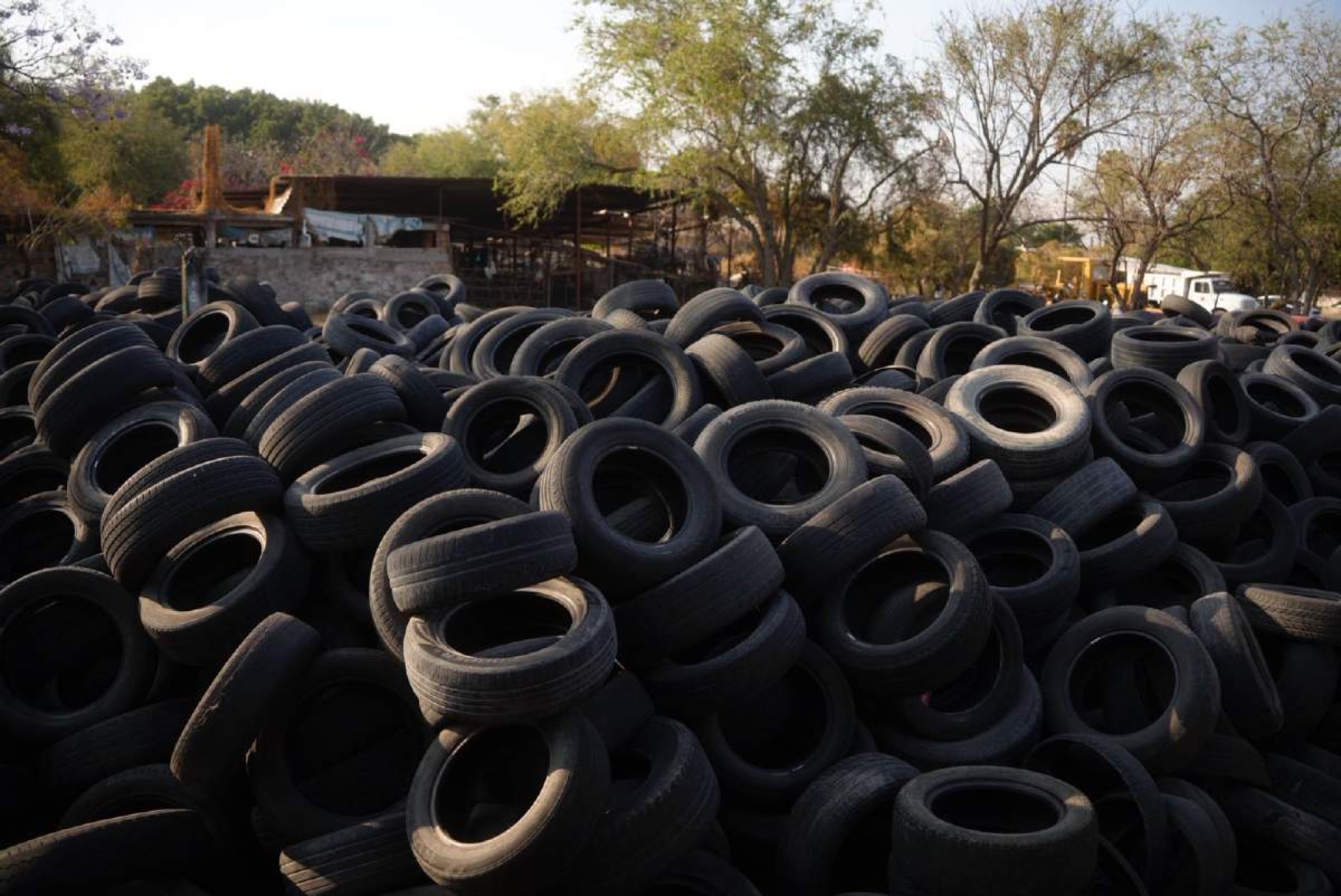 Recolectan más de 16 toneladas de neumáticos en Cuautla