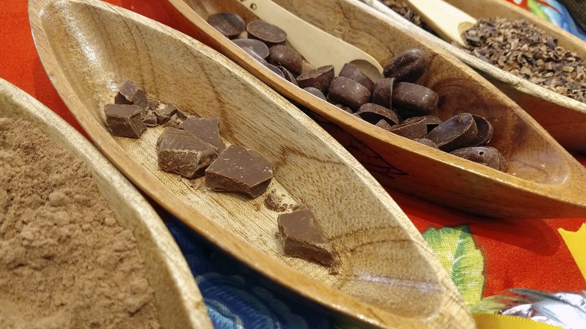 ¿El cacao se originó en México? Este estudio dice que no