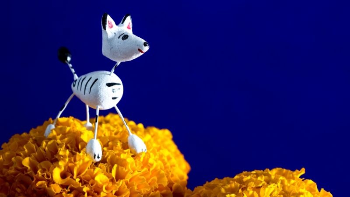 Así puedes poner la ofrenda para tus perritos el Día de Muertos en México