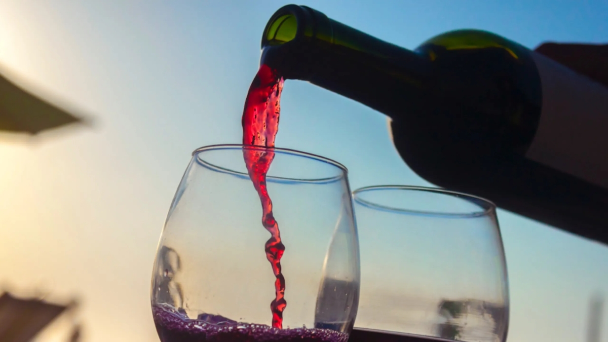 ¡Tenemos Día del Vino Mexicano! Decretan celebración de la bebida en octubre