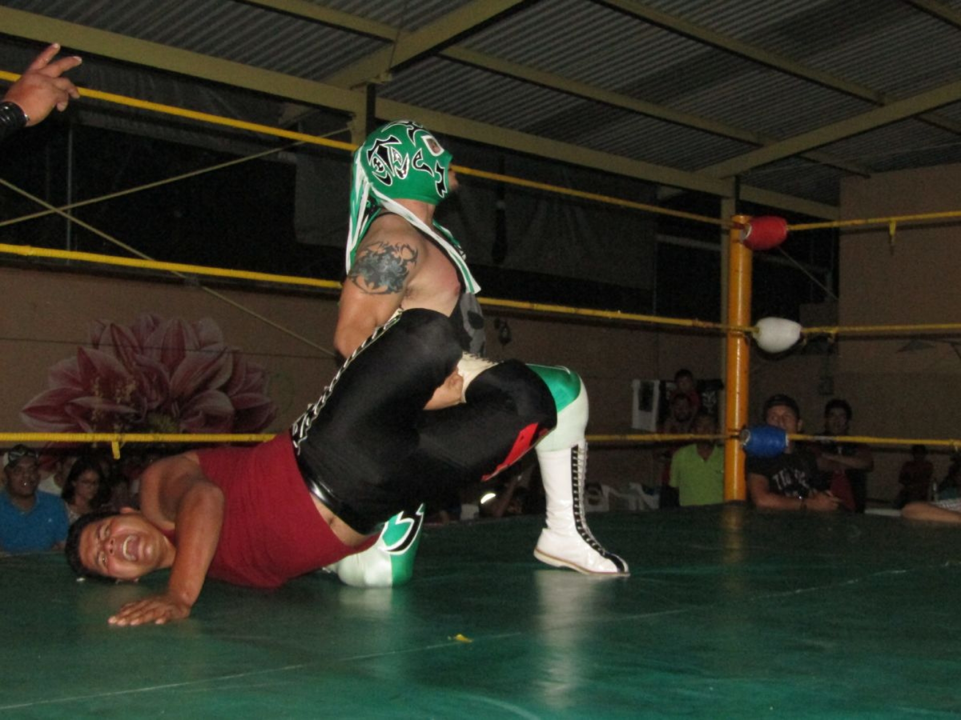 Van por la revancha