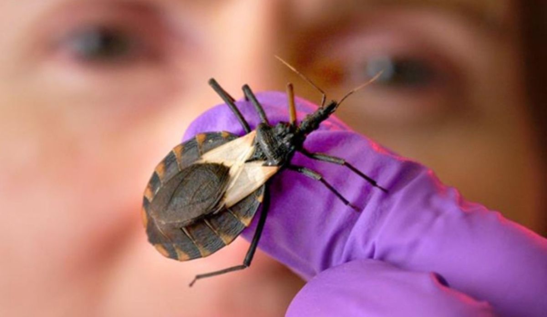 Del olvido a la acción: hablemos del 'Chagas' este 14 de abril