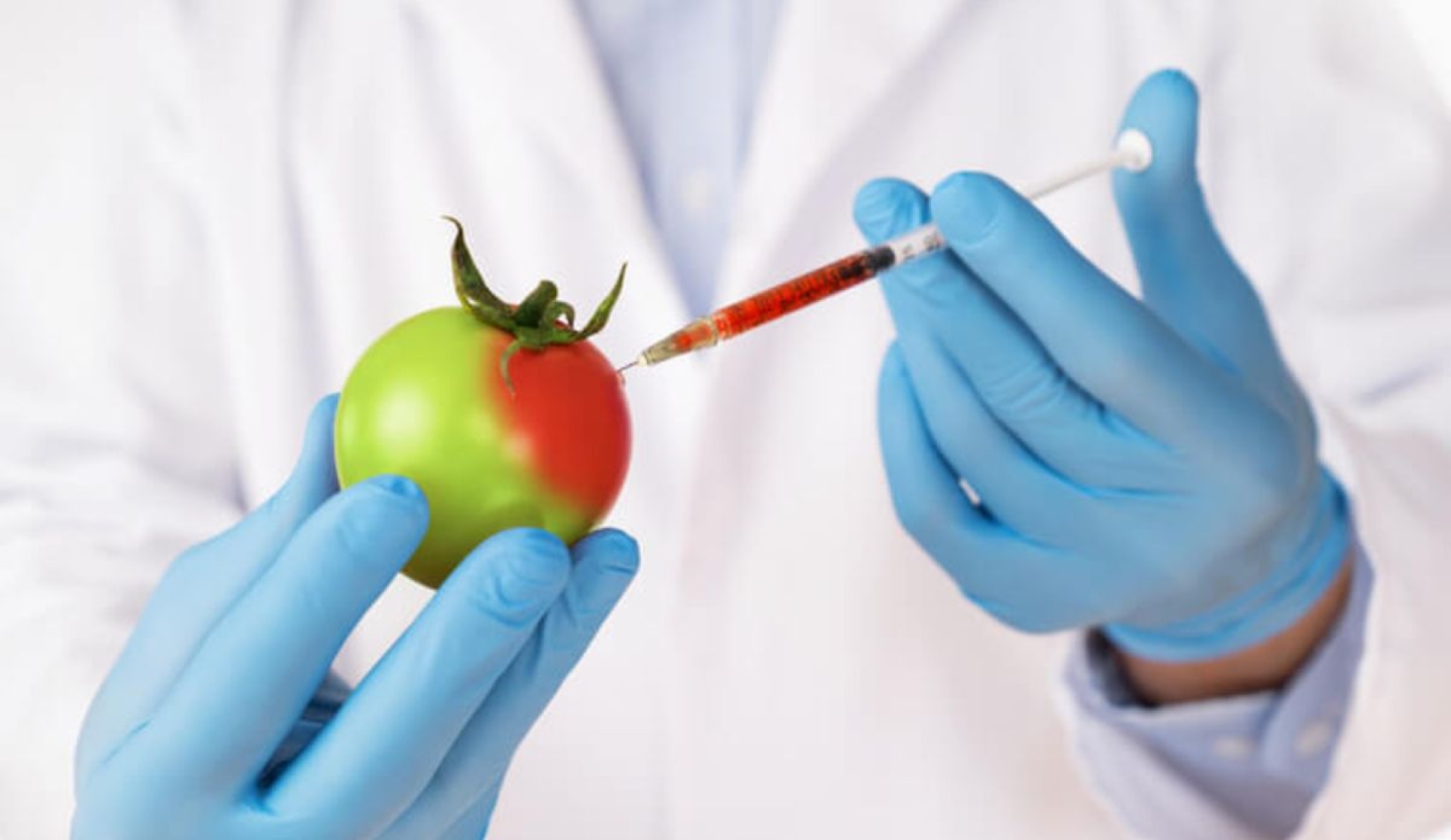 Día Internacional de Oposición a los Alimentos Transgénicos: qué son y cómo surgió esta conmemoración