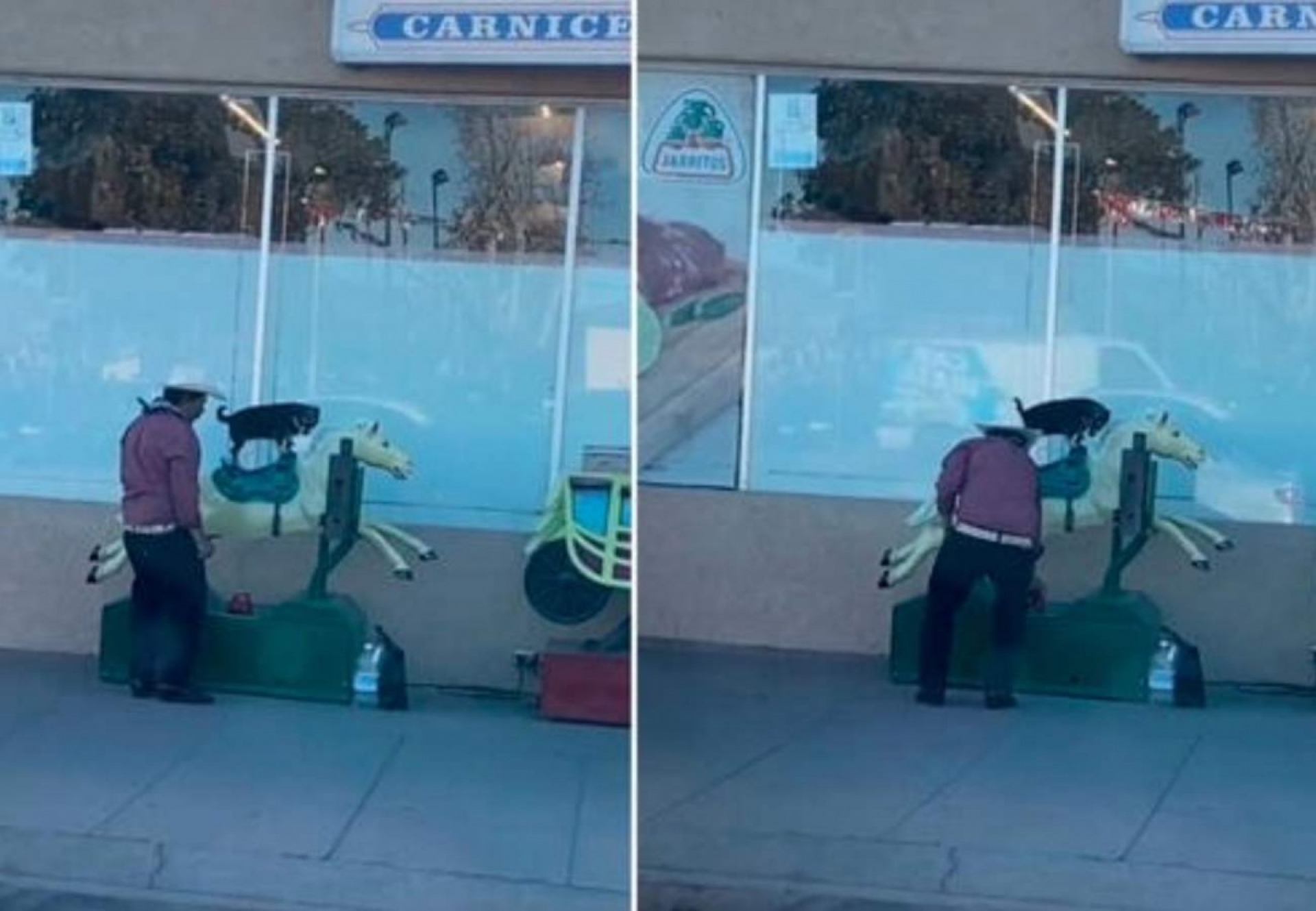 Sube a su perrito a un juego mecánico
