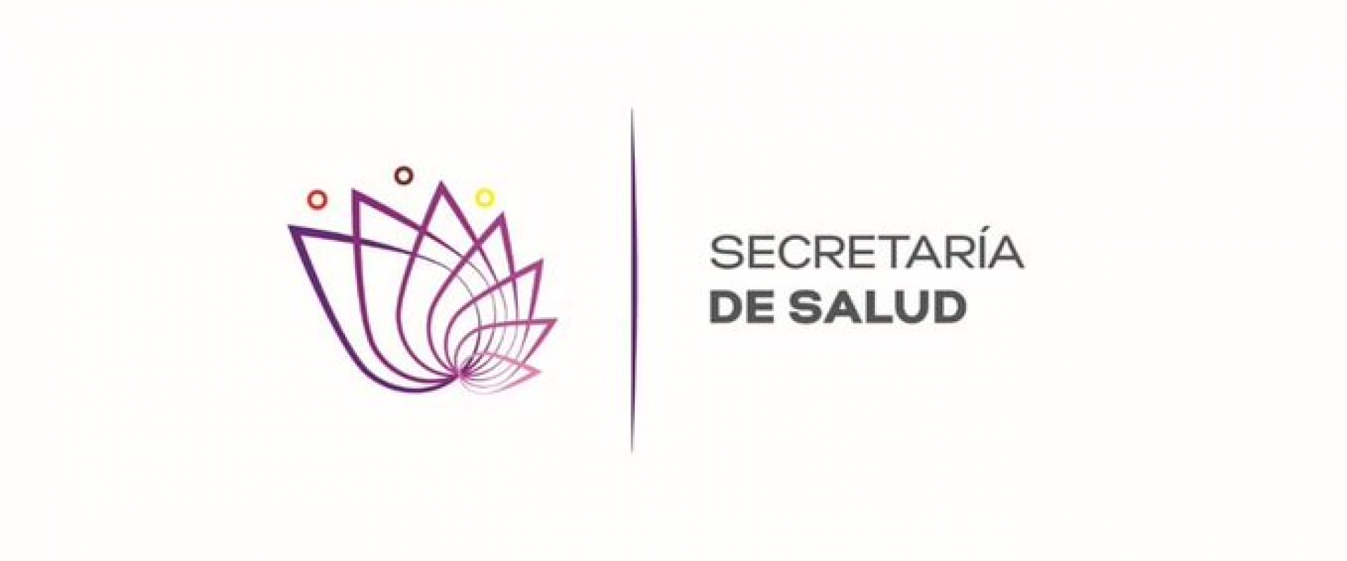 Refiere Salud que no se registraron daños graves en unidades de SSM ni en HNM, tras sismo