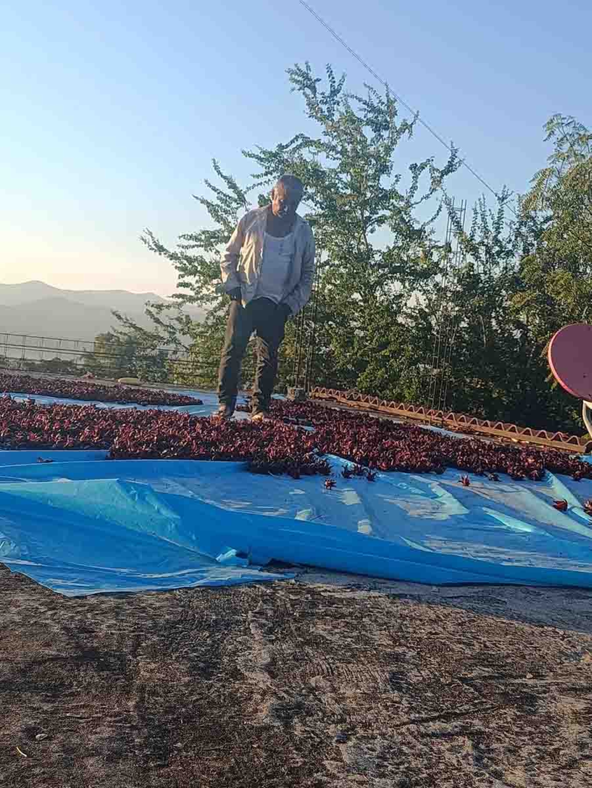 2024, de buen temporal para productores de granos