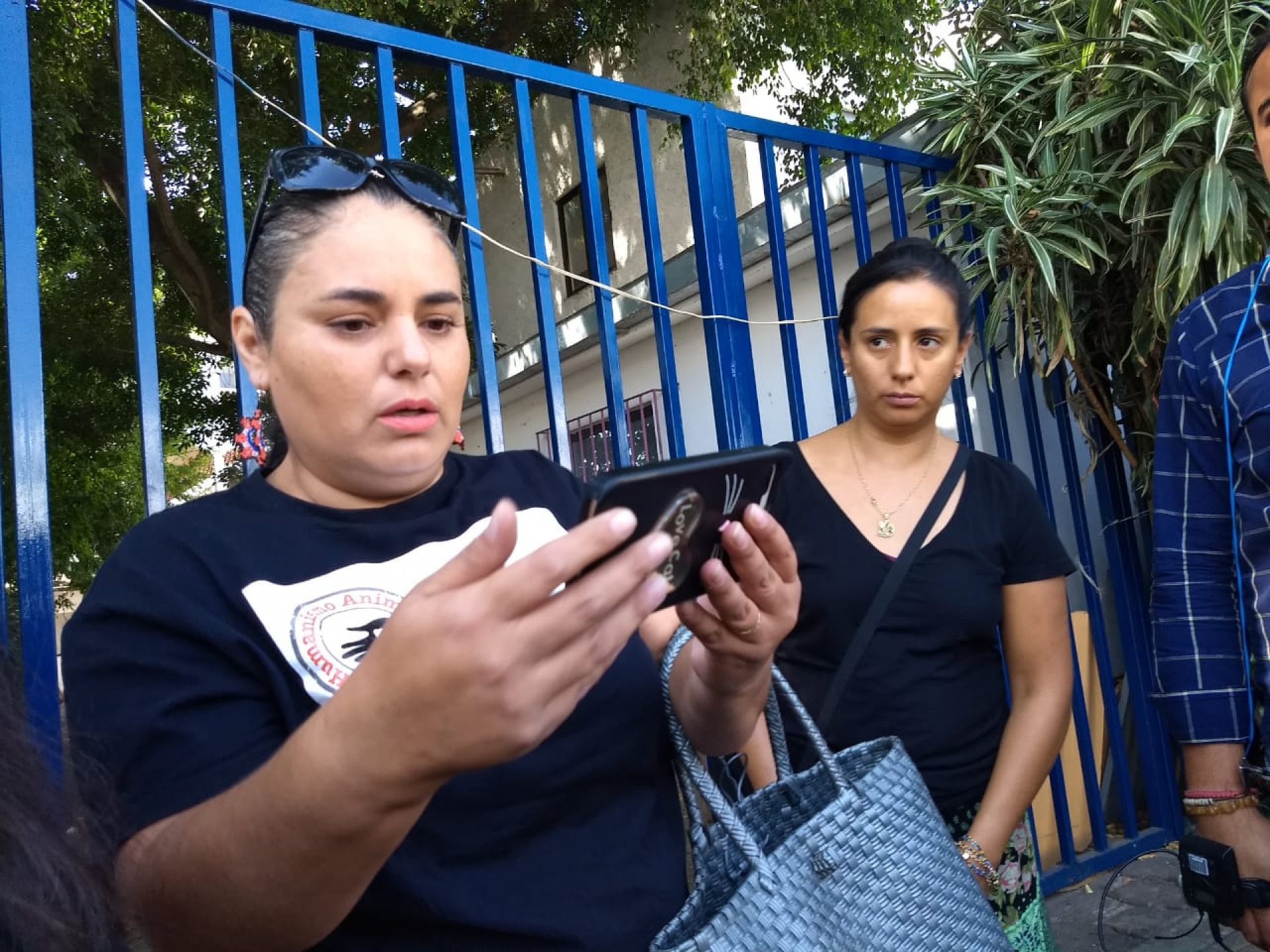 Exigen activistas investigar y sancionar matanza de perros registrada en Ocotepec