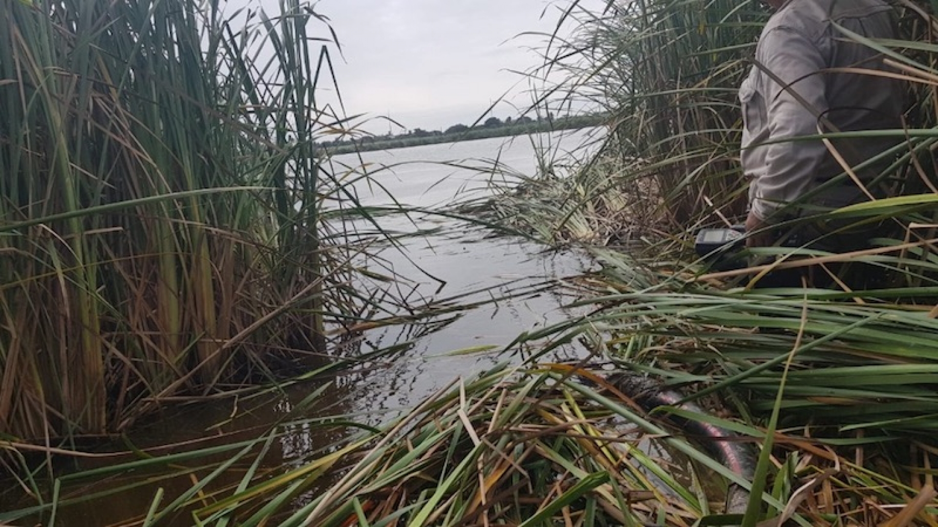 SEMAR descubre toma clandestina subacuática en laguna de Tamaulipas