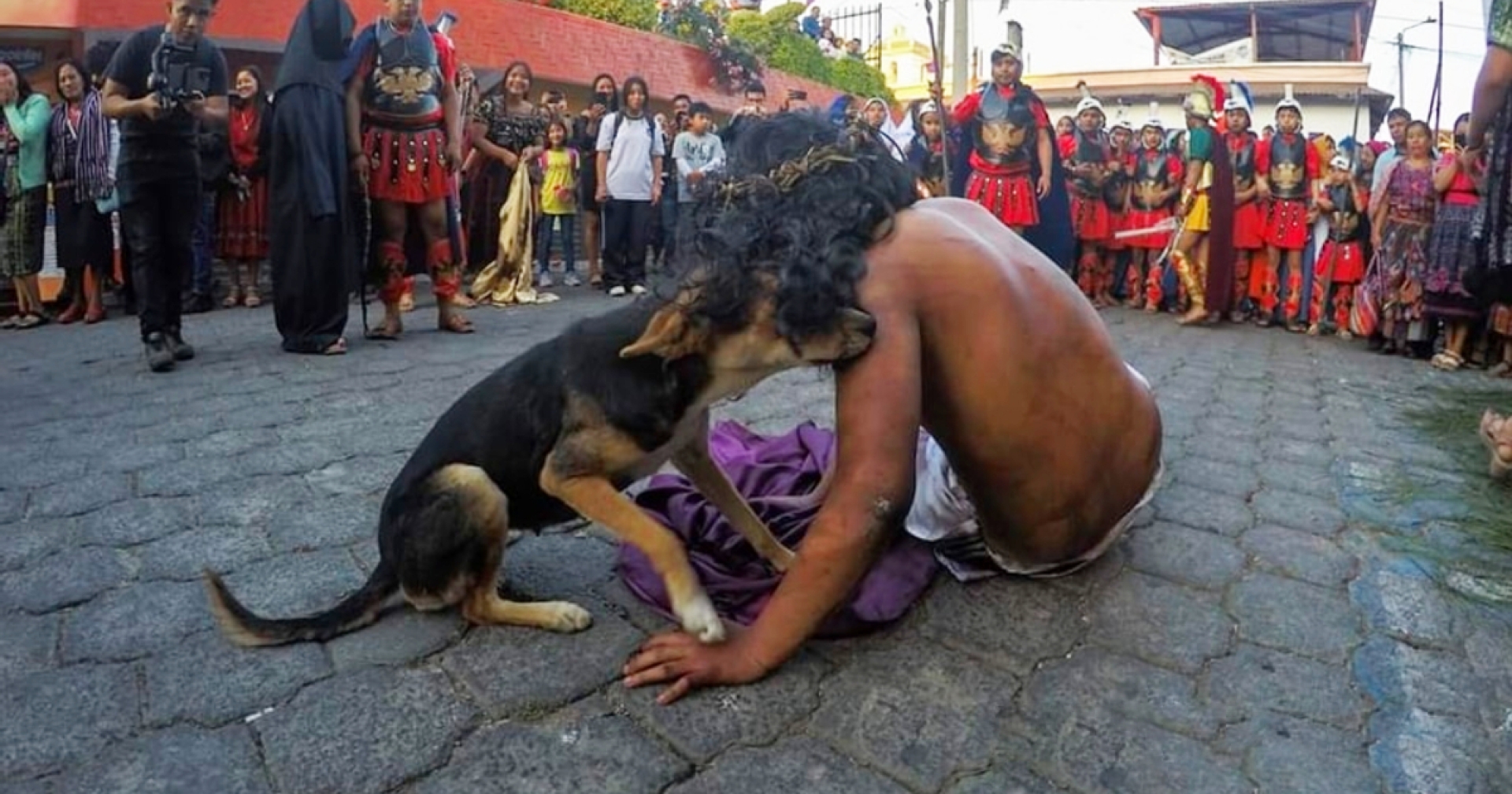 Perrito consuela a actor de 'Jesucristo' en pleno viacrucis