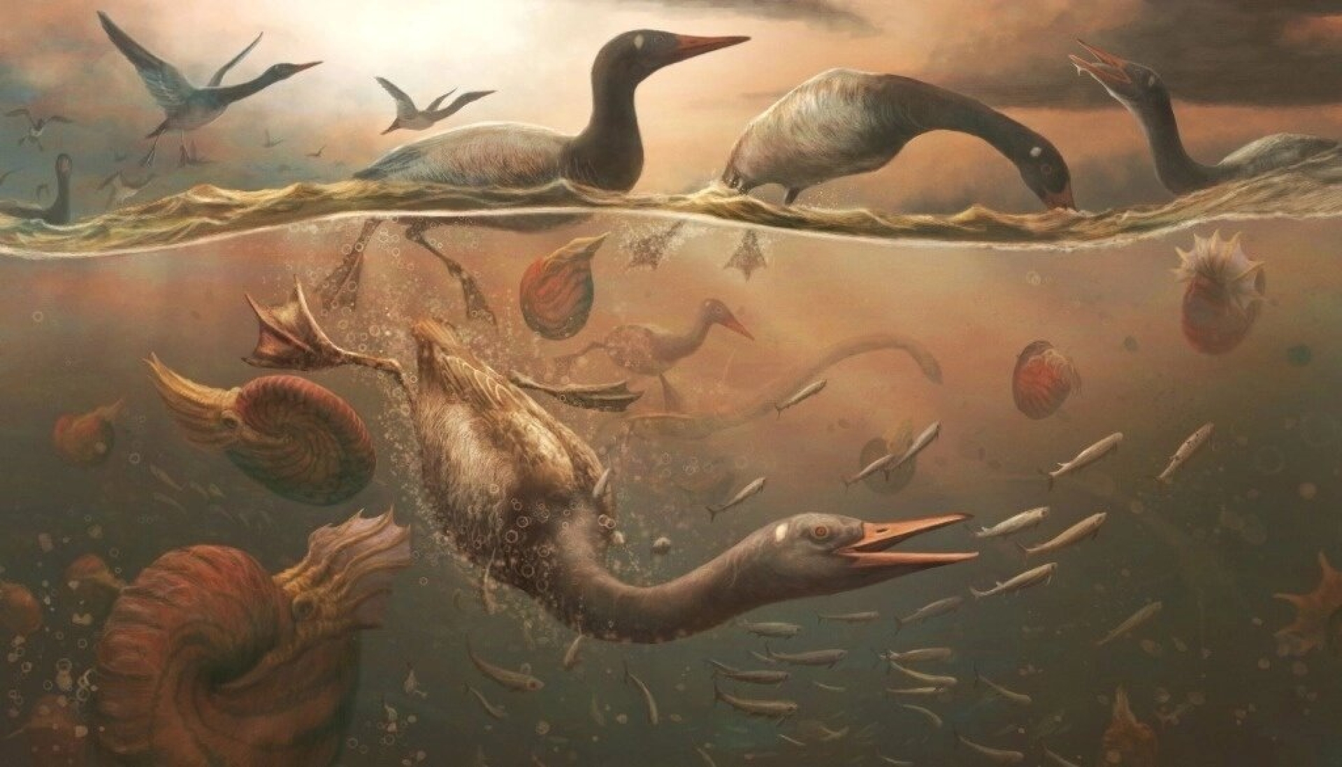 Nuevo fósil de ave antigua revela los orígenes de patos y gansos