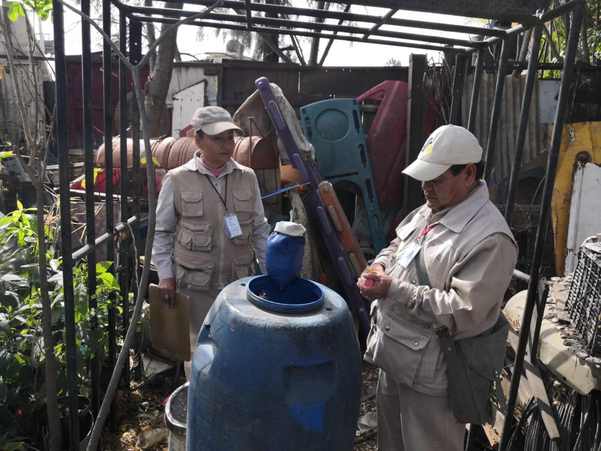 30 casos de dengue se han registrado en Morelos, en lo que va del 2020