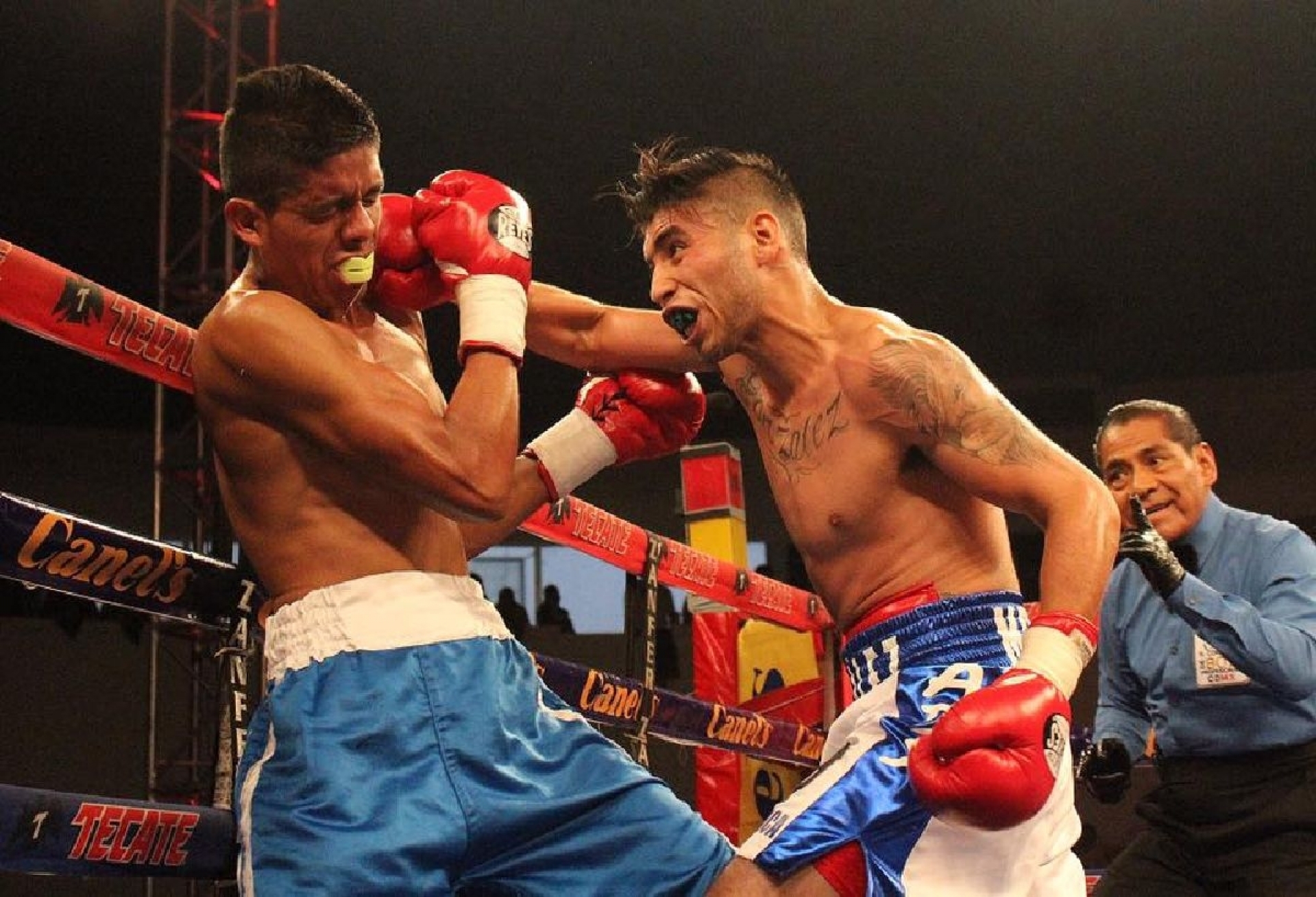 Arrancan eliminatorias del Torneo Profesional Liga Mexicana de Boxeo