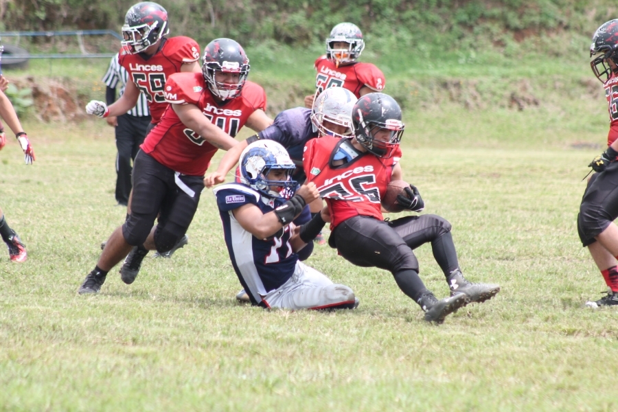 Patriotas, Mandriles y Legionarios van por un boleto a la postemporada de la ONEFA