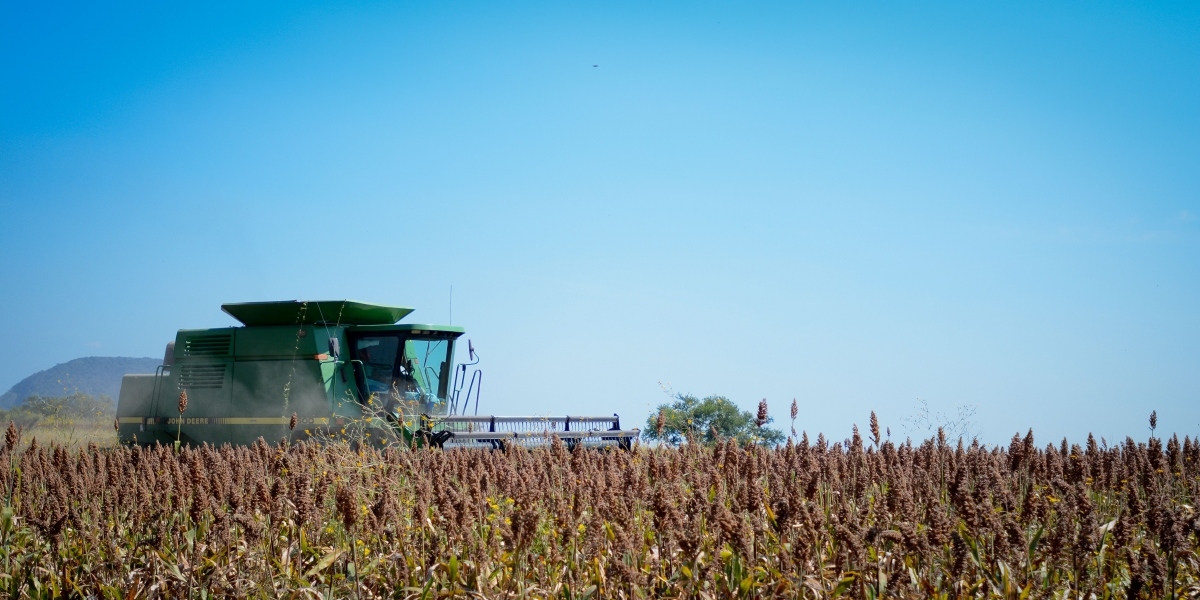 El gobierno anuncia contratación de seguro comercial para daños en el agro