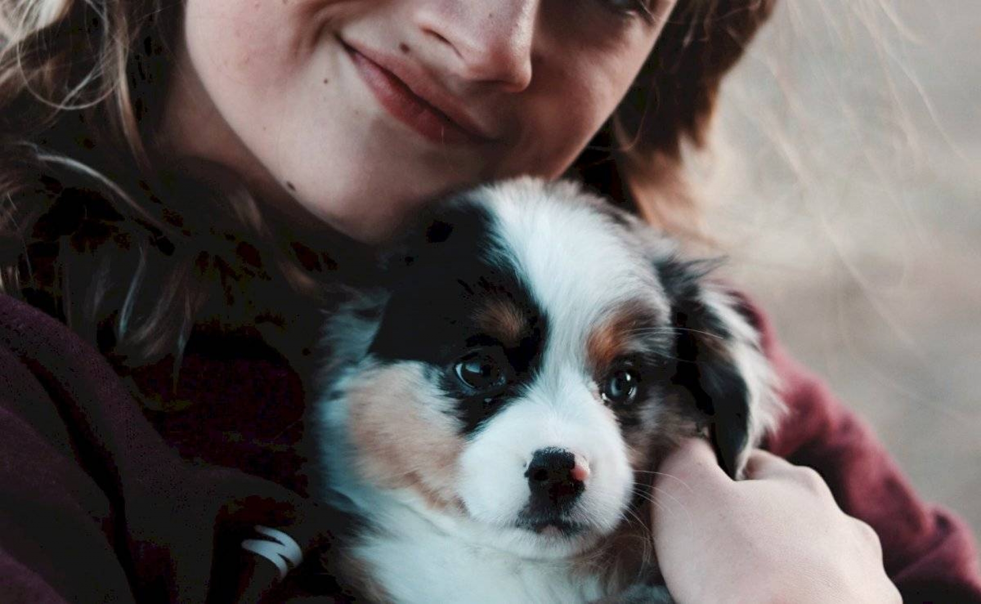 La misión espiritual de los perros en nuestra vida