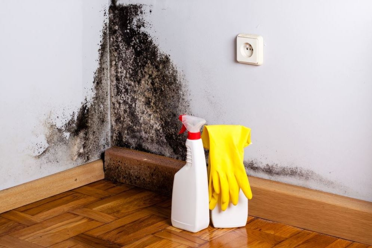 Formas muy efectivas de quitar el olor a humedad en ambientes cerrados