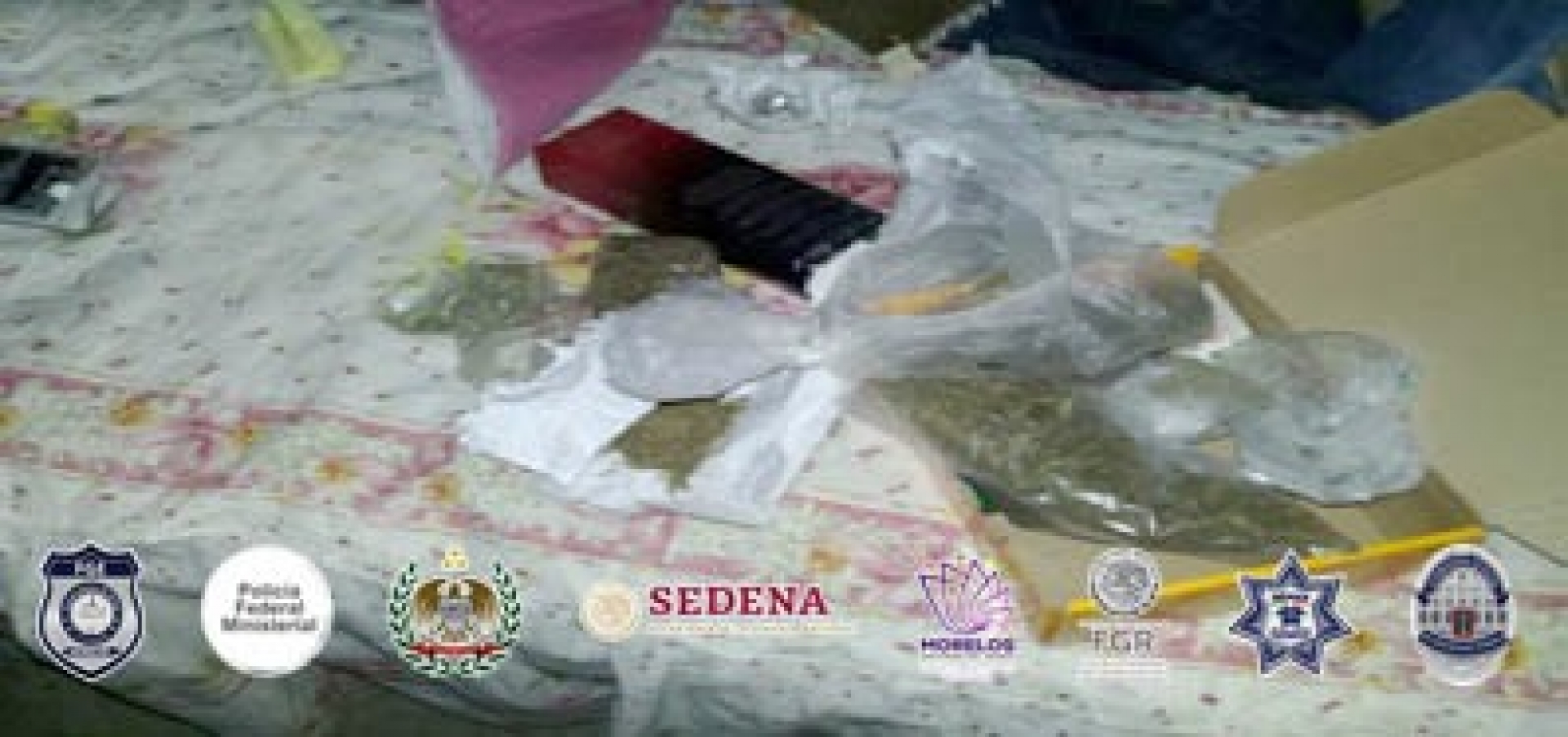 Catea FGE dos inmuebles relacionados con la venta de drogas, en Cuautla