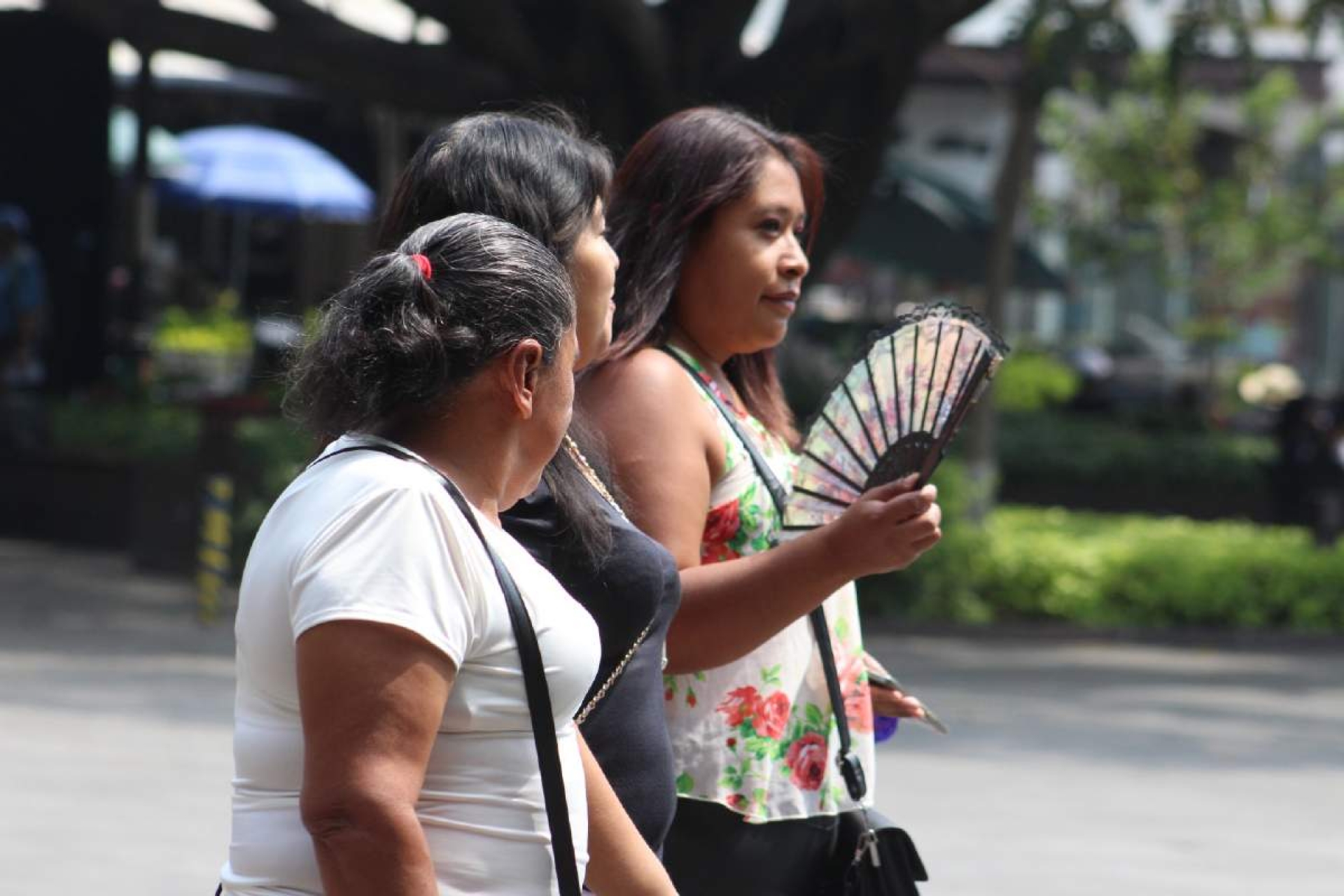 Morelos, afectado por tercera ola de calor