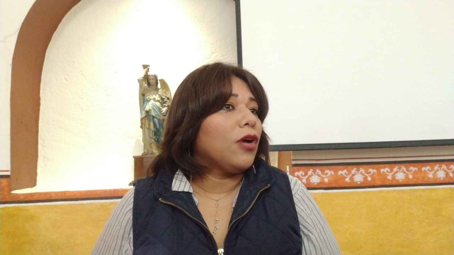 En cuestión de días, Morena definirá a próximo coordinador parlamentario: Ariadna Barrera