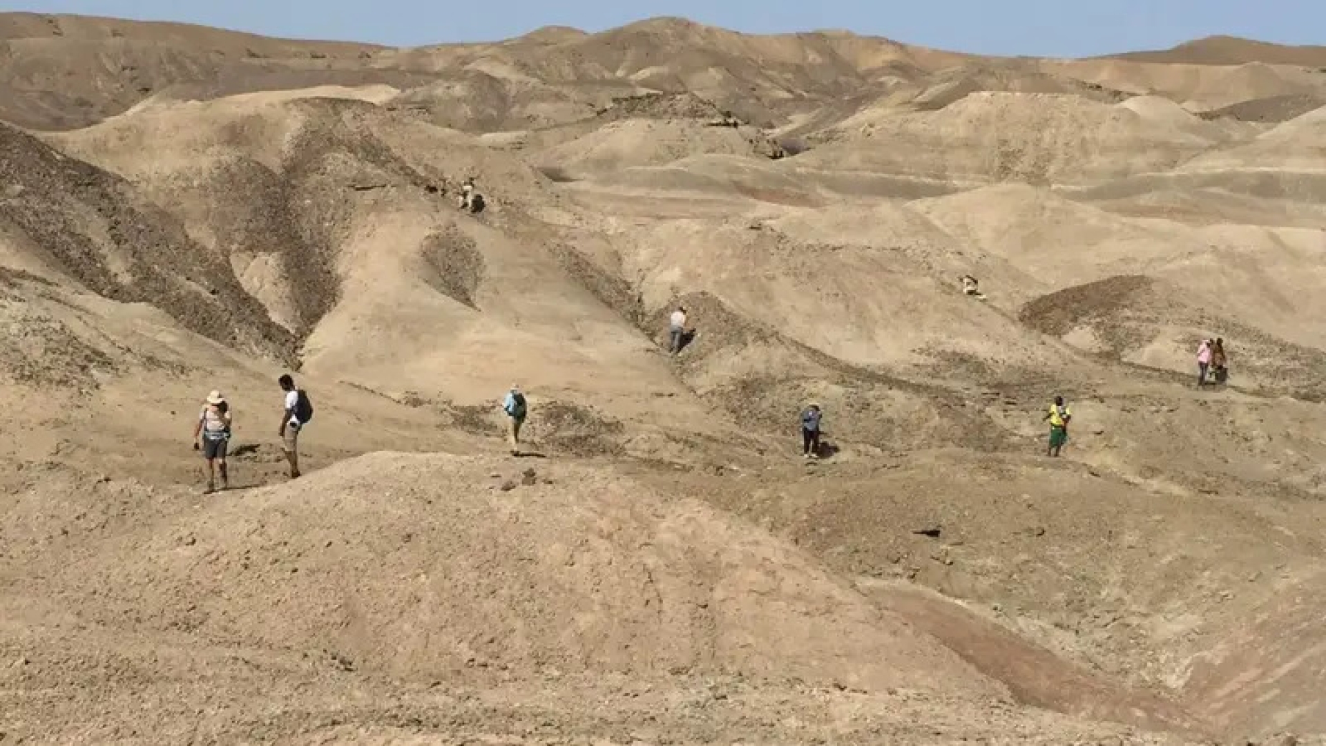 Descubrimiento fósil revela homínidos conviviendo con los primeros humanos
