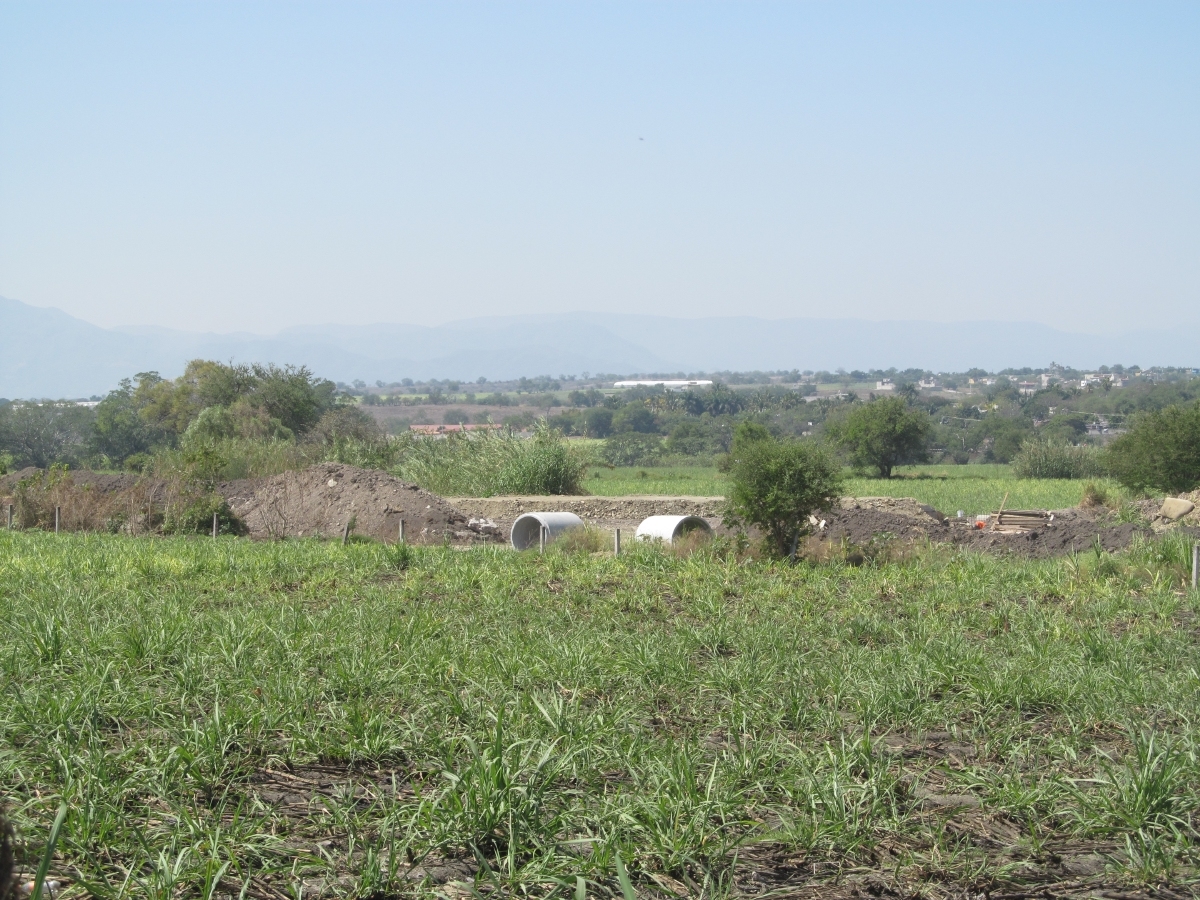 Recorte al presupuesto federal impactará negativamente al sector agropecuario morelense