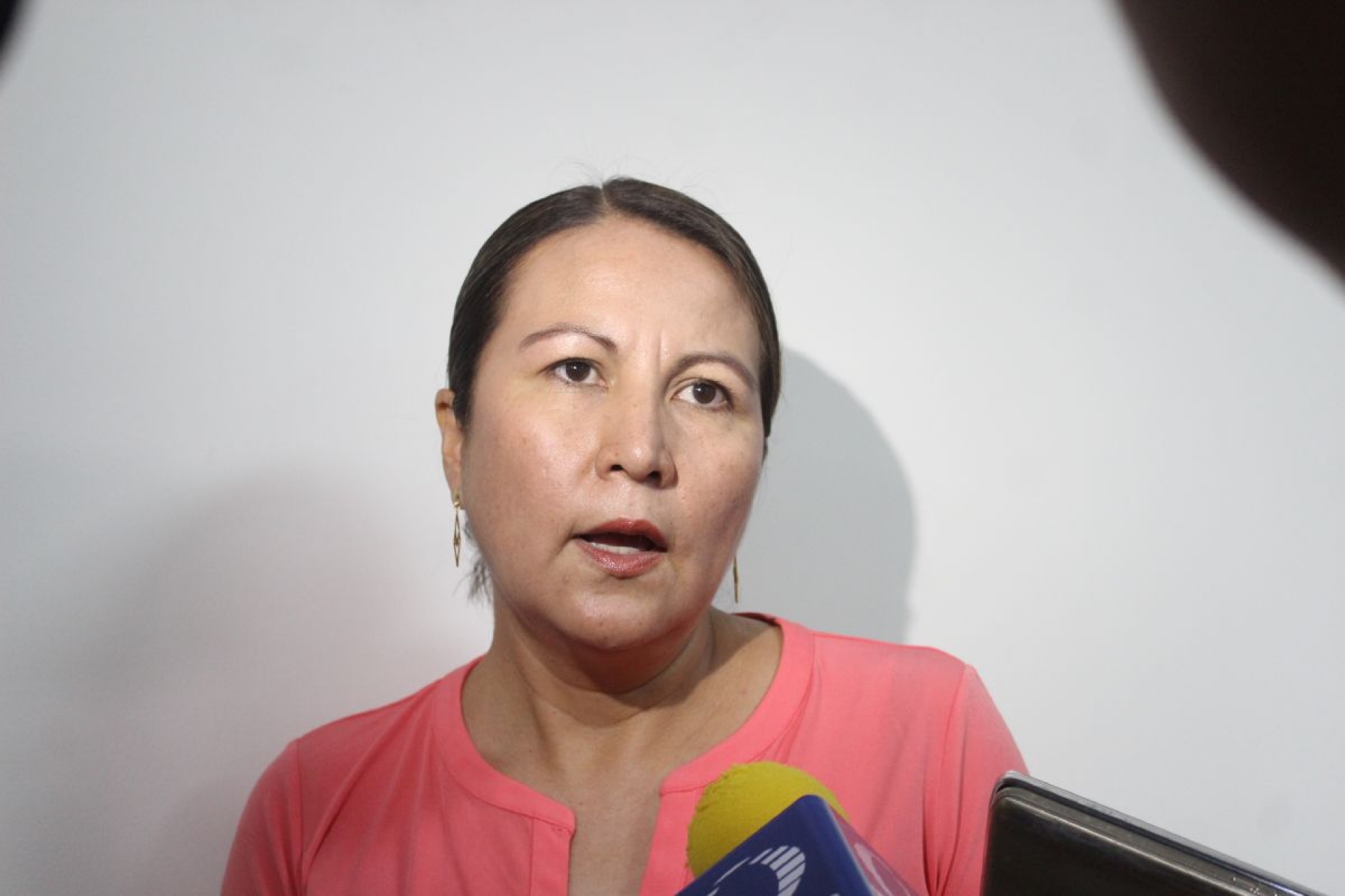 Sigue detenido el análisis del Paquete Económico 2021