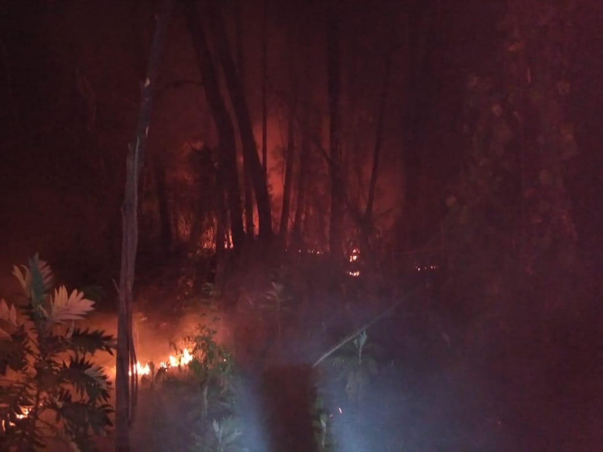 Atienden bomberos y PC Cuernavaca incendio en autopista México-Cuernavaca