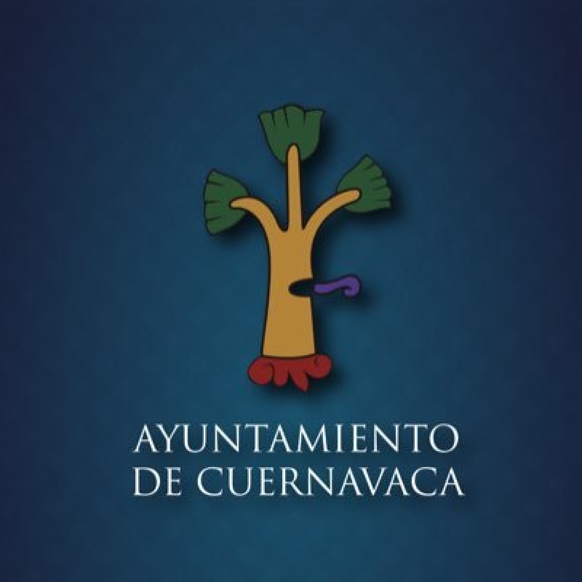 SAPAC y ayuntamiento han recibido 'trato inadecuado' por la CFE: Gobierno de Cuernavaca