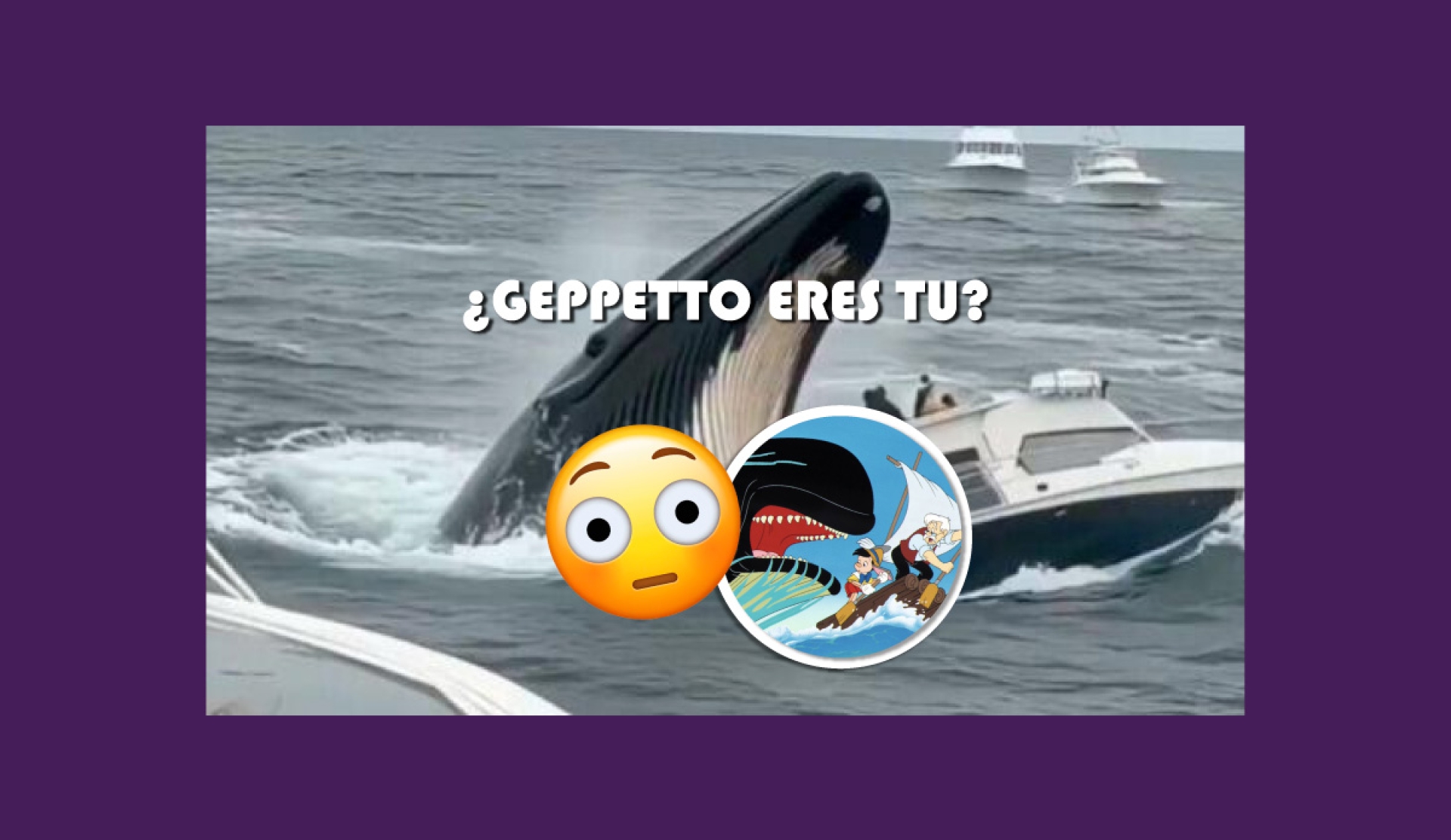 ¿En serio es real? Video de Ballena Jorobada "Devorando" un Bote