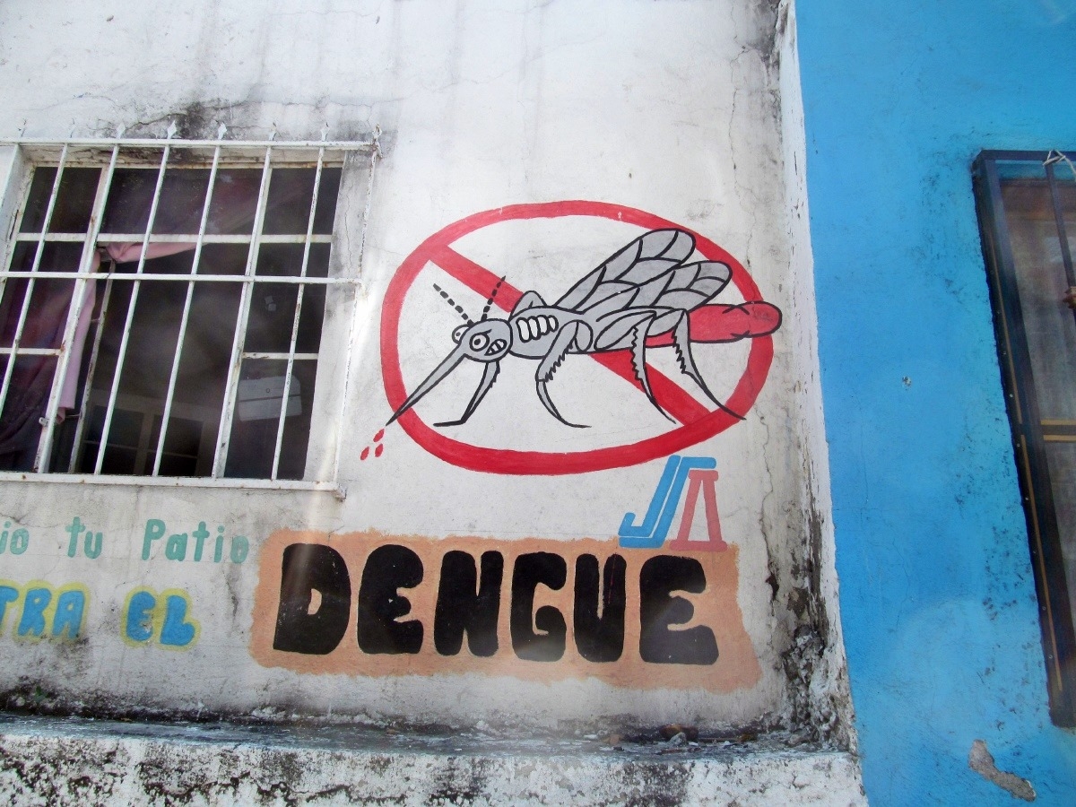 Exhortan a la participación ciudadana para prevenir y controlar el dengue