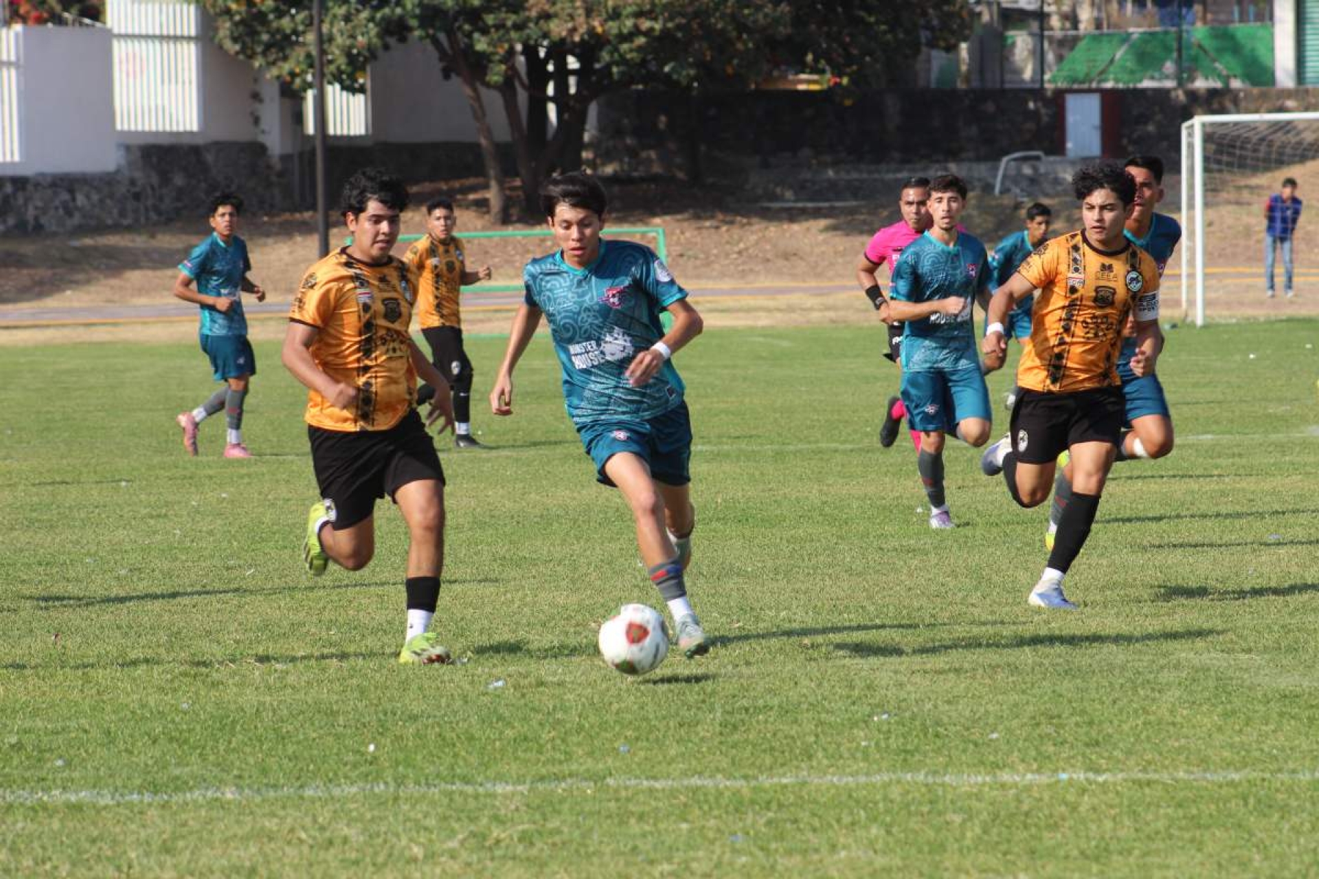 Quieren liguilla