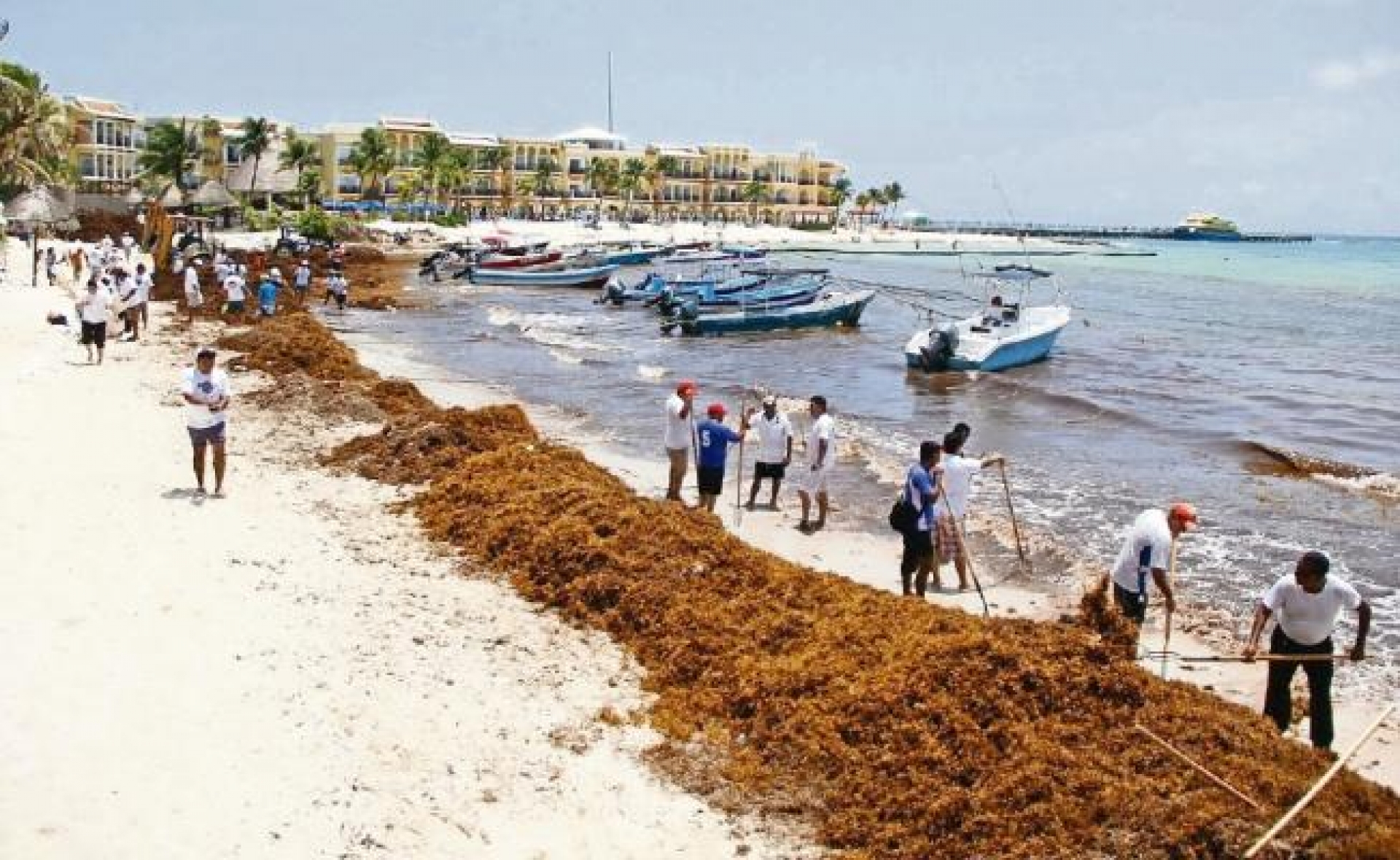 Solicitarán 218 mdp más para mitigar el sargazo en sus playas