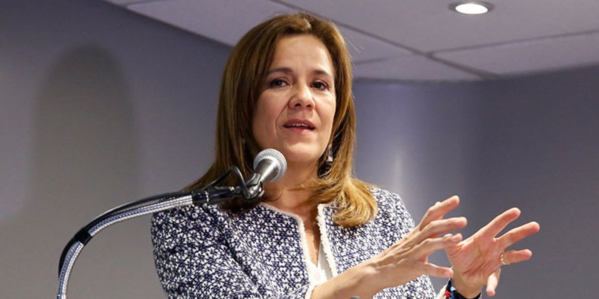 Anaya anuló democracia en PAN; eso no justifica a la PGR: Zavala