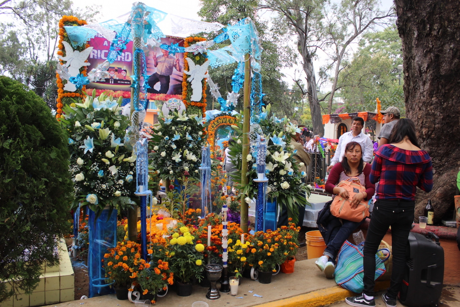 Tradición en salud