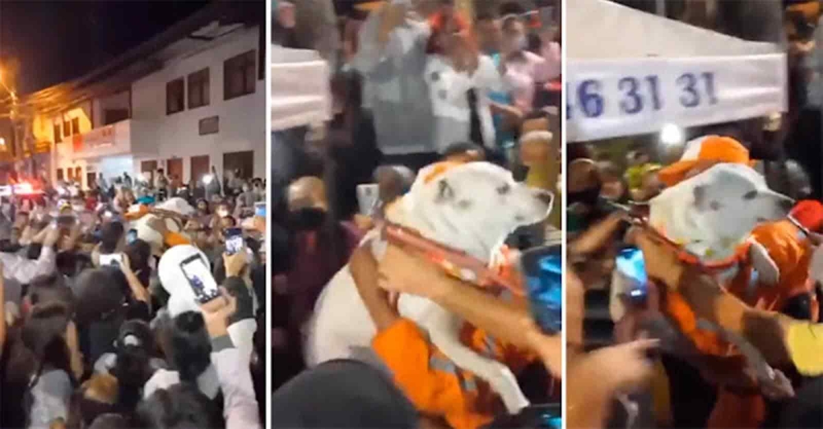 ¡Tremenda fiesta! Un pueblo da la bienvenida a perro secuestrado