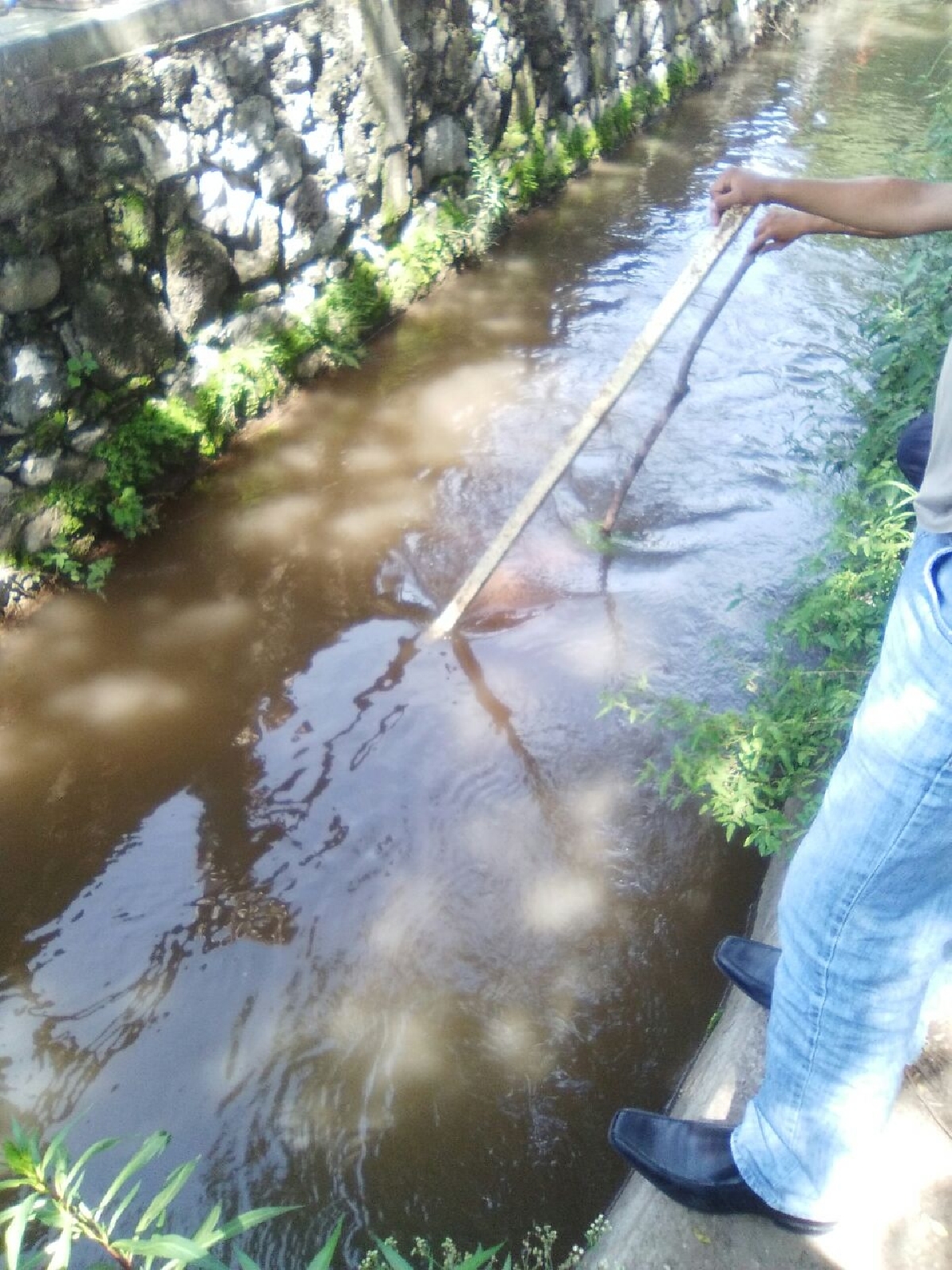 Hallan un cadáver en un canal de riego de Coatlán del Río