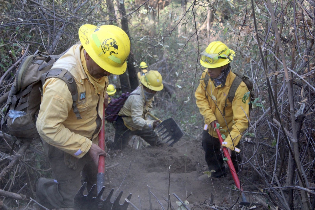 Liquidado al 100% incendio forestal en paraje 'El Alambrado', en Cuernavaca