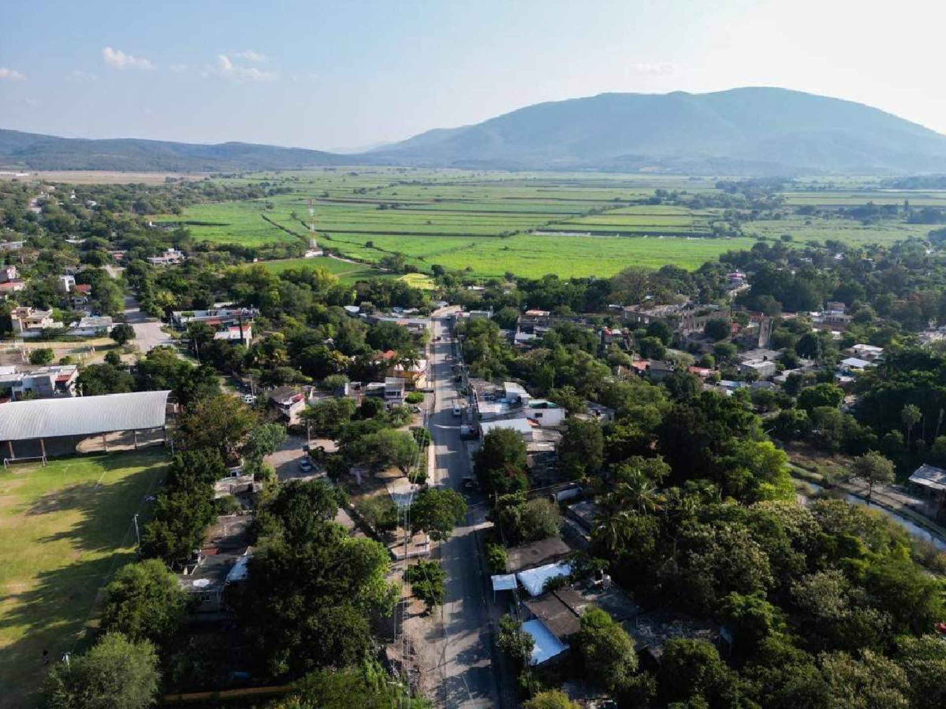 Buscan promover la siembra de amaranto en Tlaltizapán