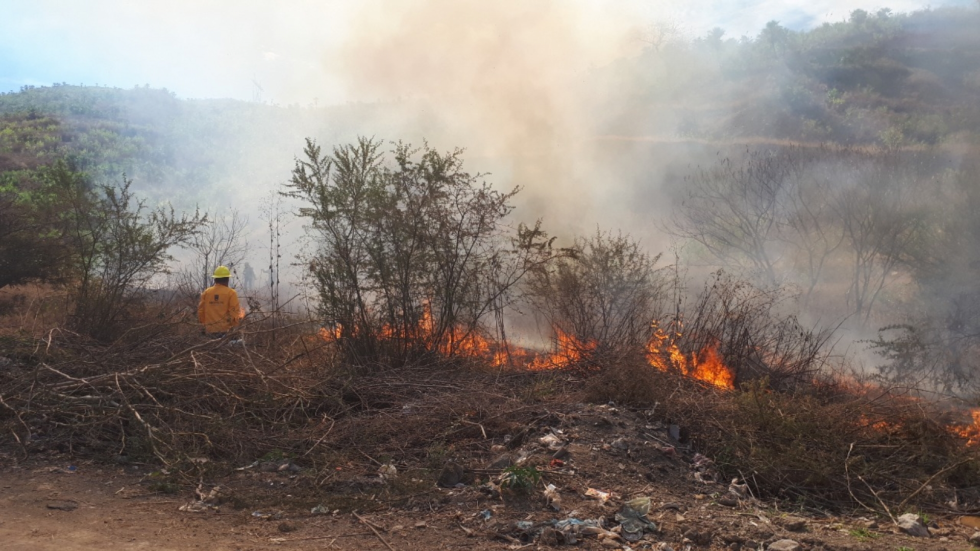 Atienden brigadas doce incendios forestales