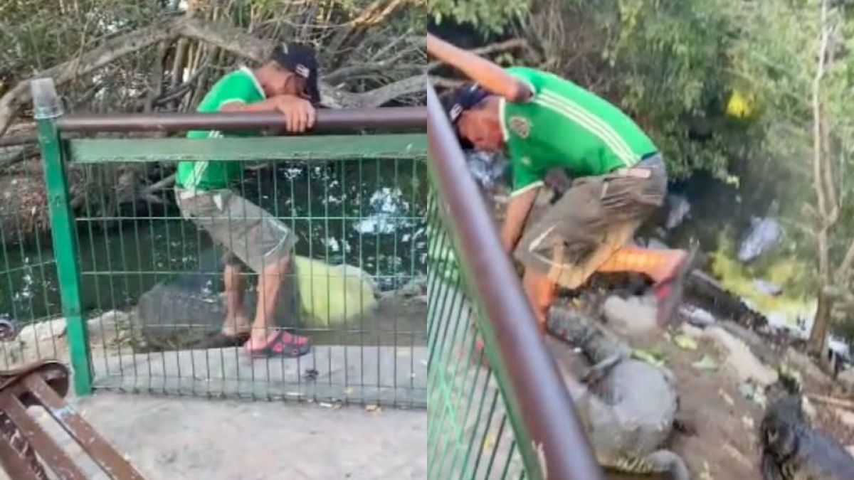 "Yo soy tu rey": Hombre ebrio patea a cocodrilos en Tampico ¡casi pierde un pie!