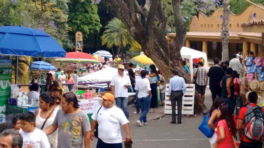 Analizan subsede del “Mercado Verde” en  Cuautla